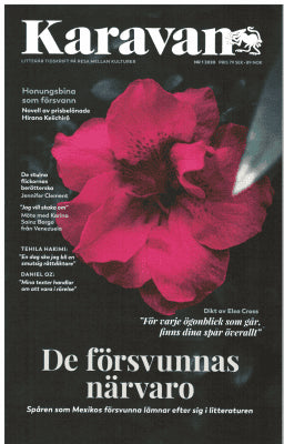 Birgitta Wallin : Karavan 1 2020