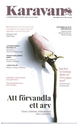 Birgitta Wallin : Karavan 4 2020. Tema