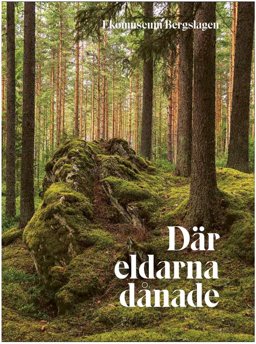 Bisse Falk : Där eldarna dånade