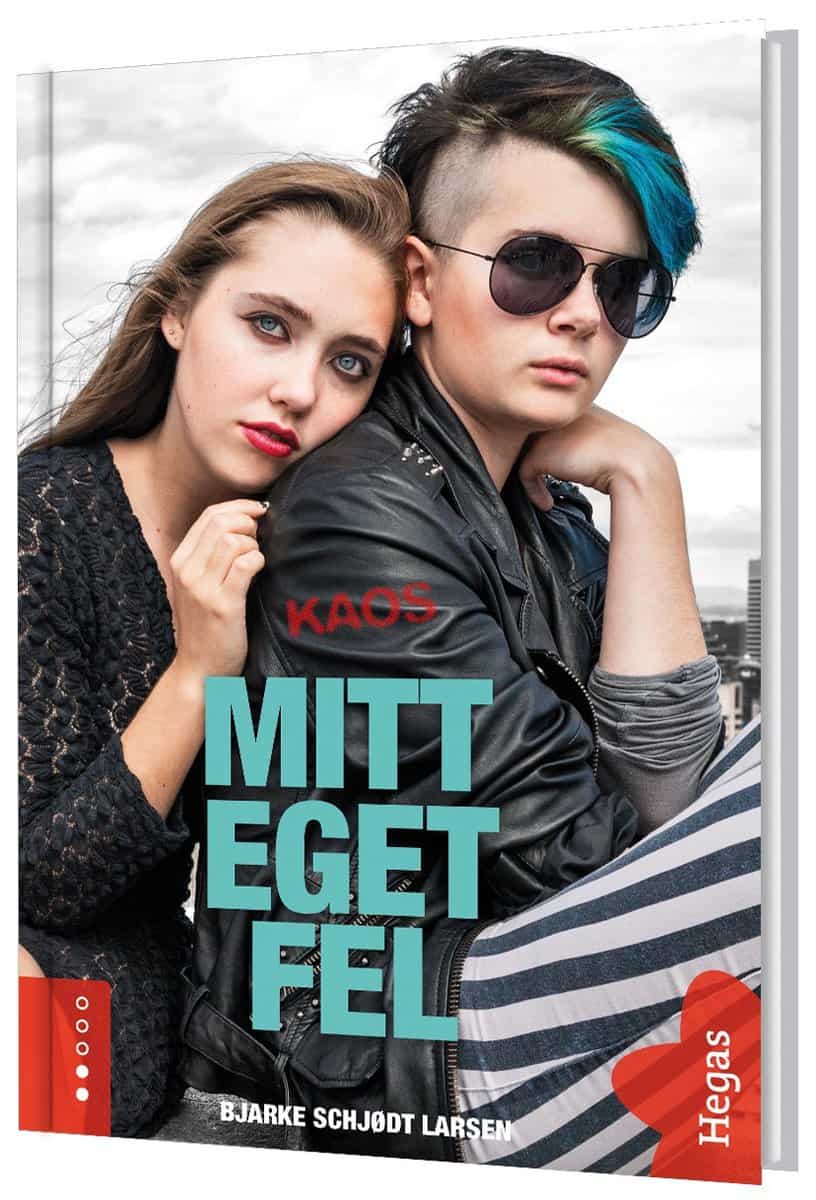 Bjarke Schjødt Larsen : Mitt eget fel