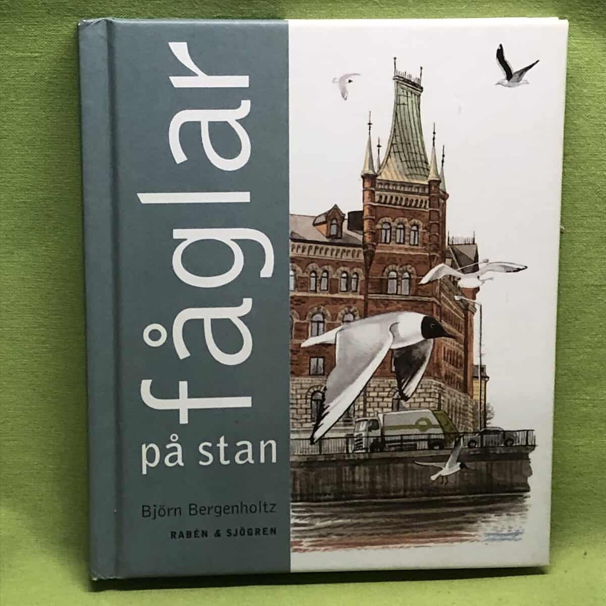 Björn Bergenholtz : Fåglar på stan
