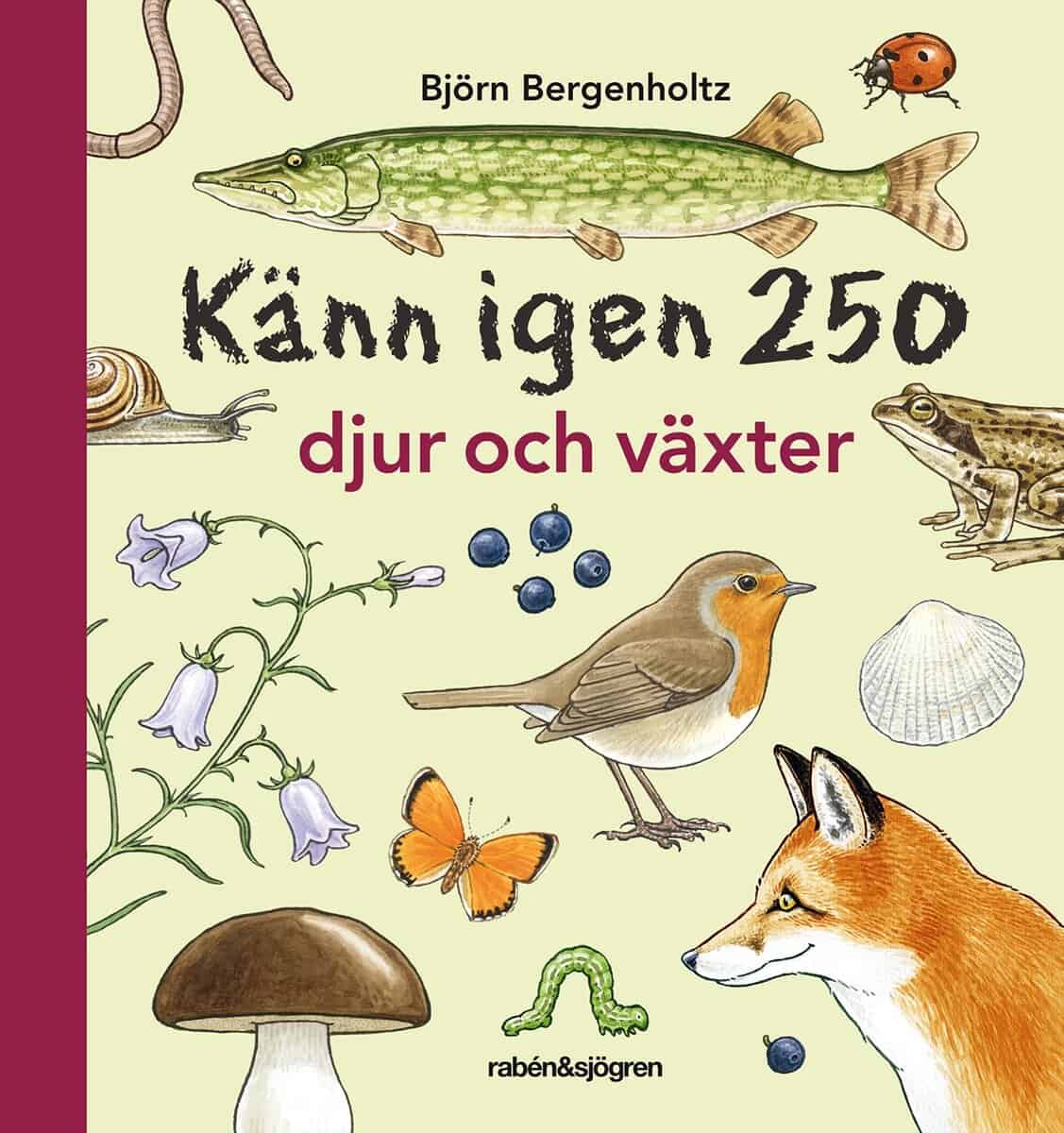 Björn Bergenholtz : Känn igen 250 djur och växter