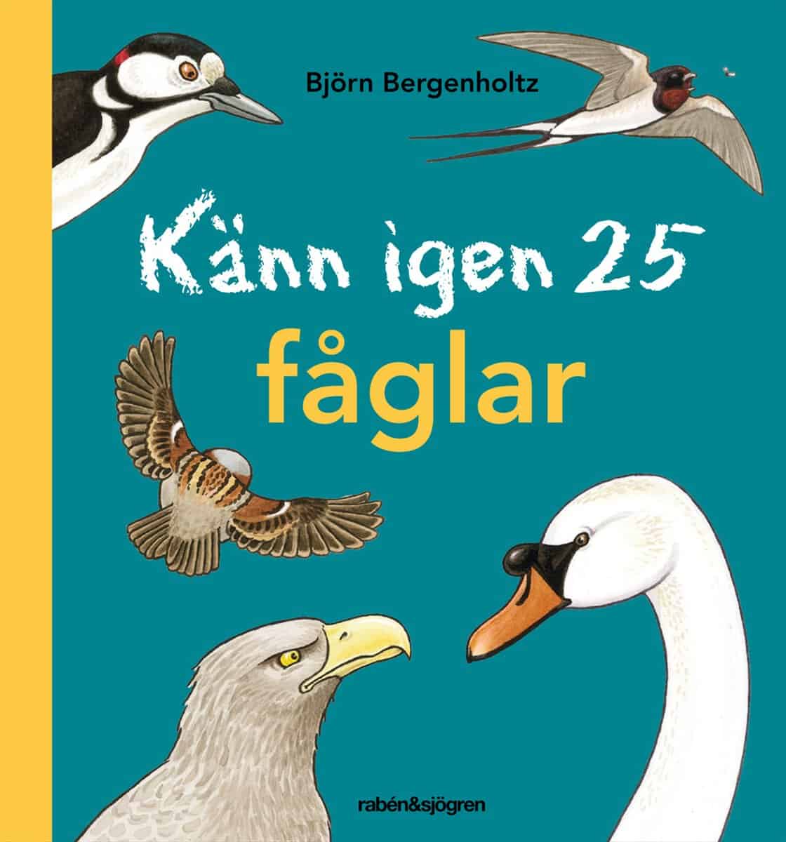 Björn Bergenholtz : Känn igen 25 fåglar