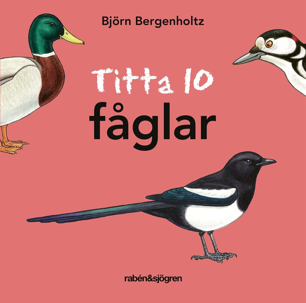 Björn Bergenholtz : Titta 10 fåglar