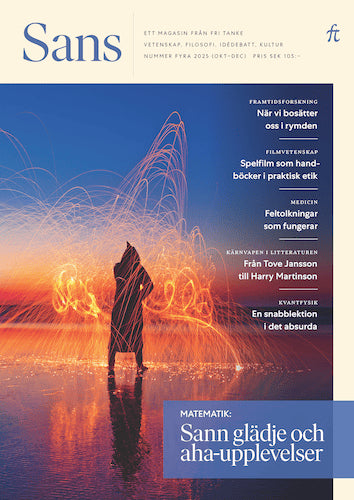 Björn Fjæstad : Sans 4/2025. Sann glädje och aha-upplevelser