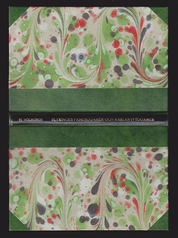 Björn Holmgren : Blekings fanerogamer och kärlkryptogamer
