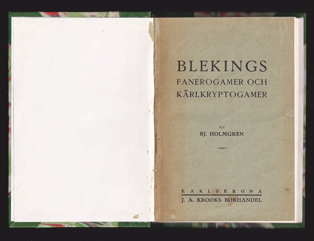 Björn Holmgren : Blekings fanerogamer och kärlkryptogamer