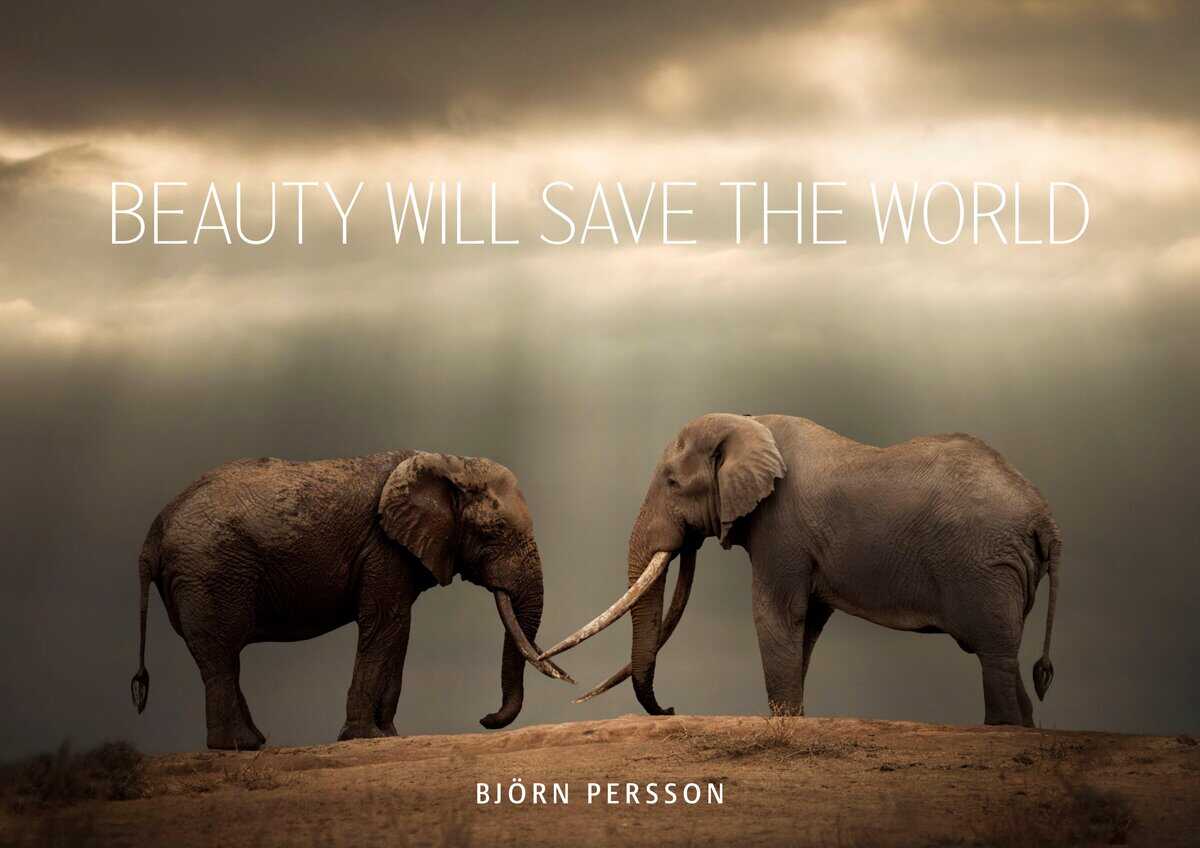 Björn Persson : Beauty will save the world