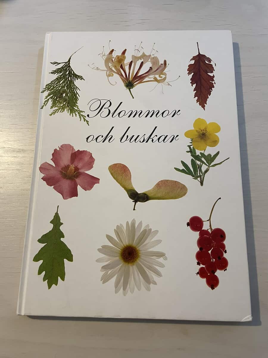 Blommor och buskar