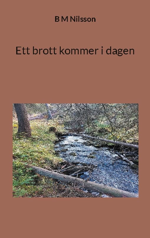 B.M. Nilsson : Ett brott kommer i dagen