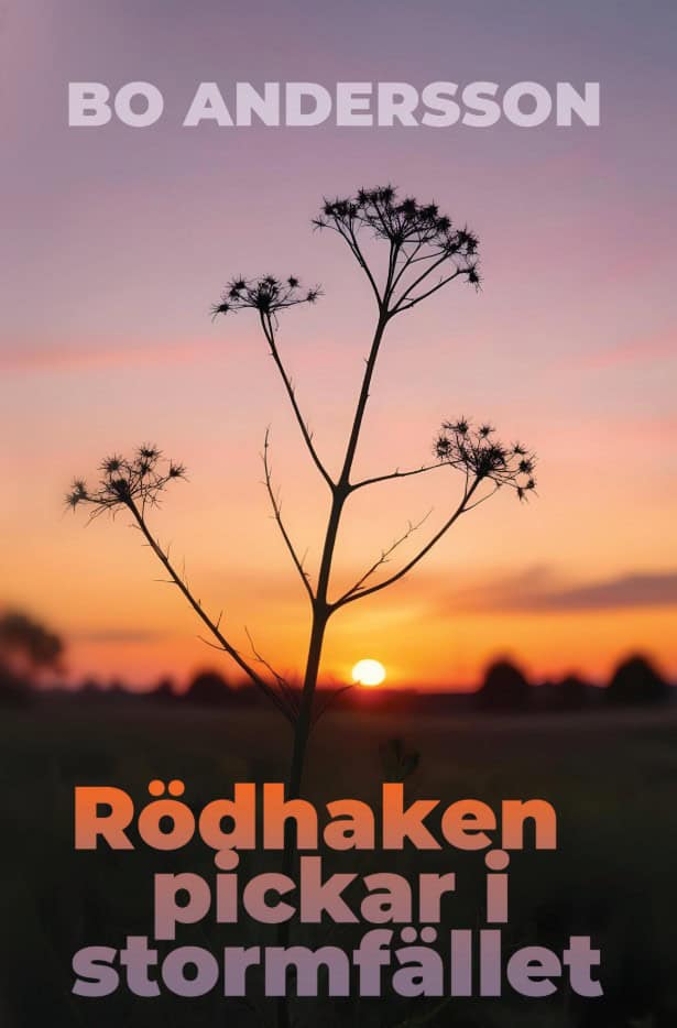 Bo Andersson : Rödhaken pickar i stormfället