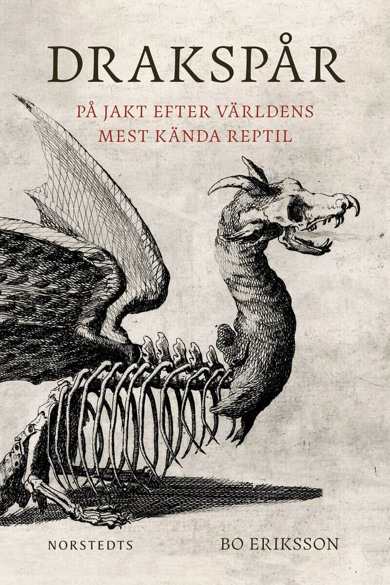 Bo Eriksson : Drakspår : på jakt efter världens mest kända reptil