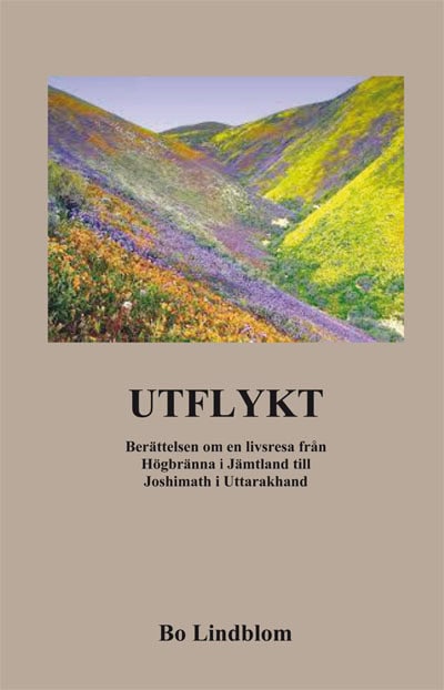 Bo Lindblom : Utflykt