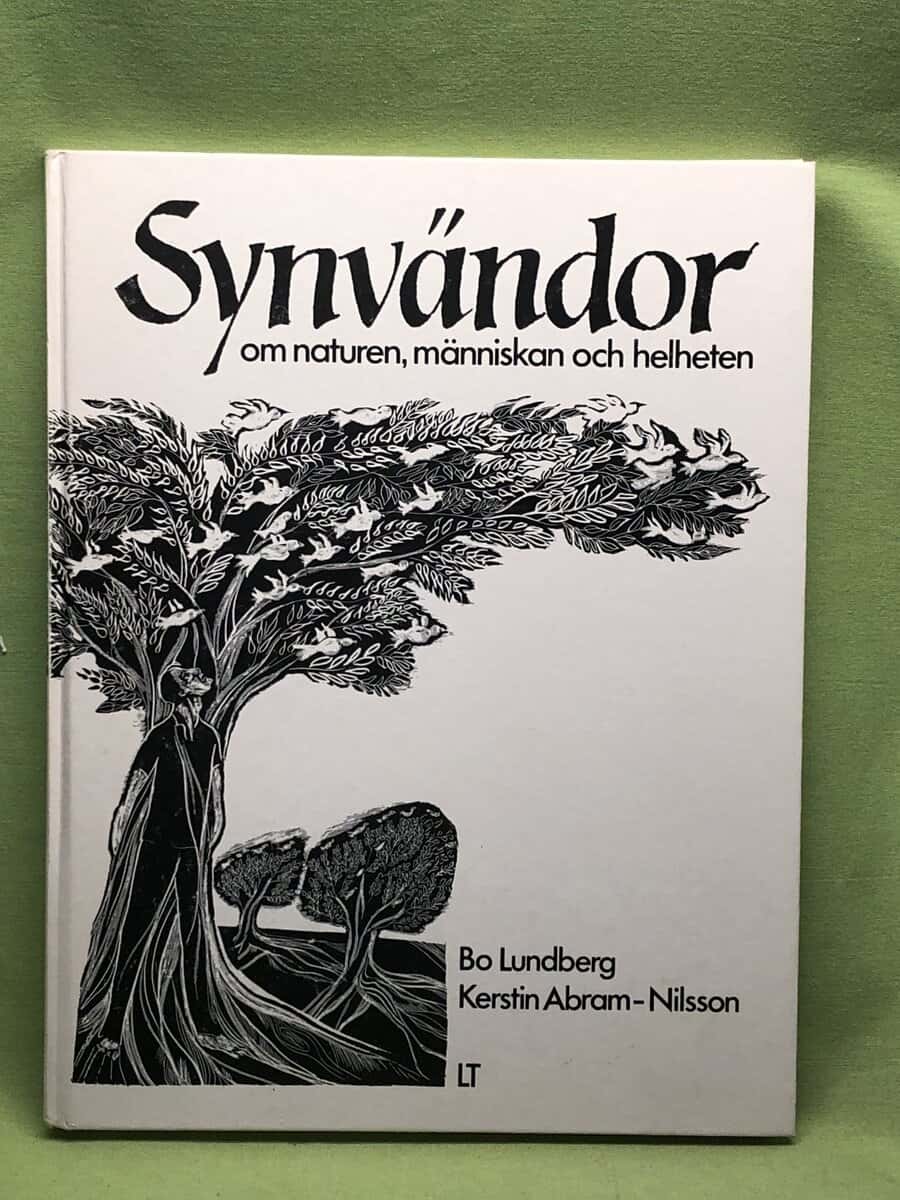 Bo Lundberg : Synvändor