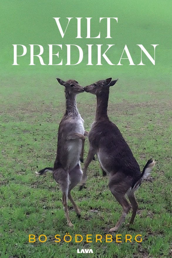 Bo Söderberg : Viltpredikan