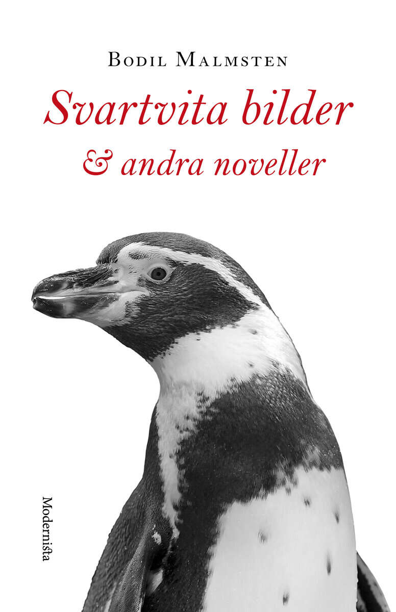 Bodil Malmsten : Svartvita bilder & andra noveller