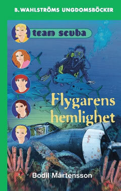 Bodil Mårtensson : Flygarens hemlighet
