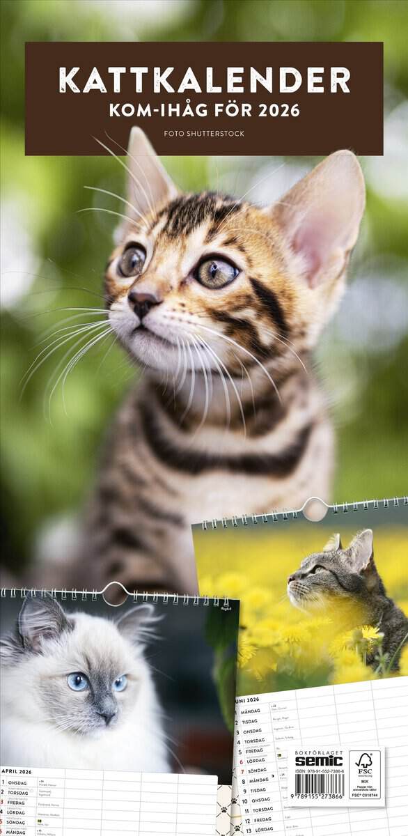 Bokförlaget Semic : Kattkalender 2026