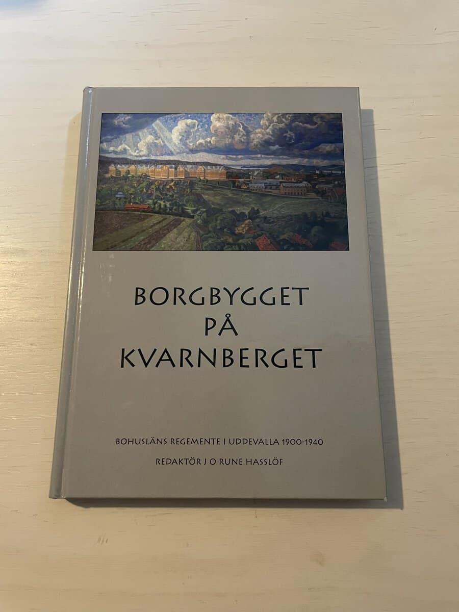 Borgbygget på Kvarnberget
