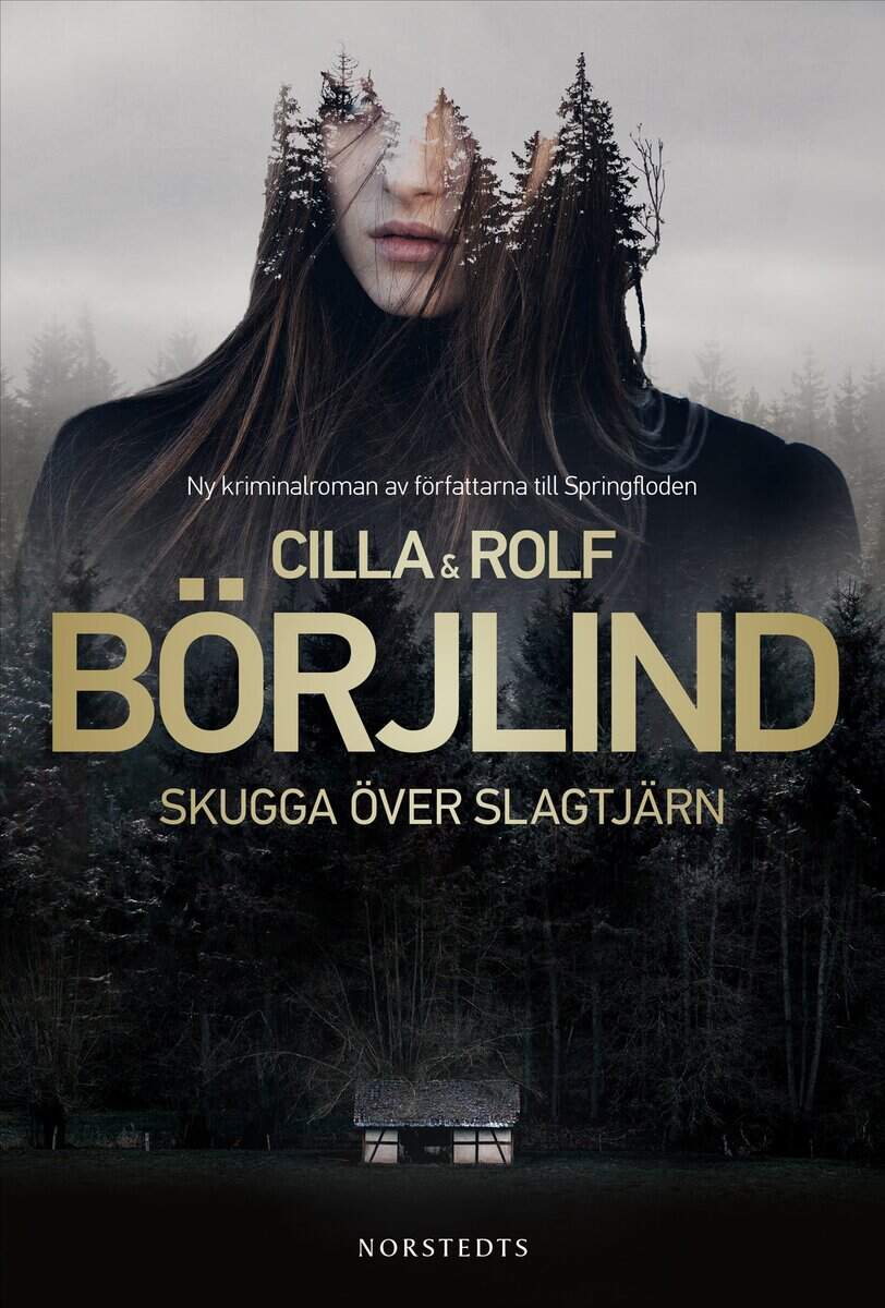 Börjlind, Cilla ; Börjlind, Rolf : Skugga över Slagtjärn
