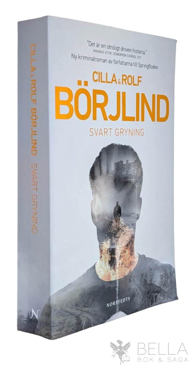 Börjlind, Cilla ; Rolf Börjlind : Svart gryning