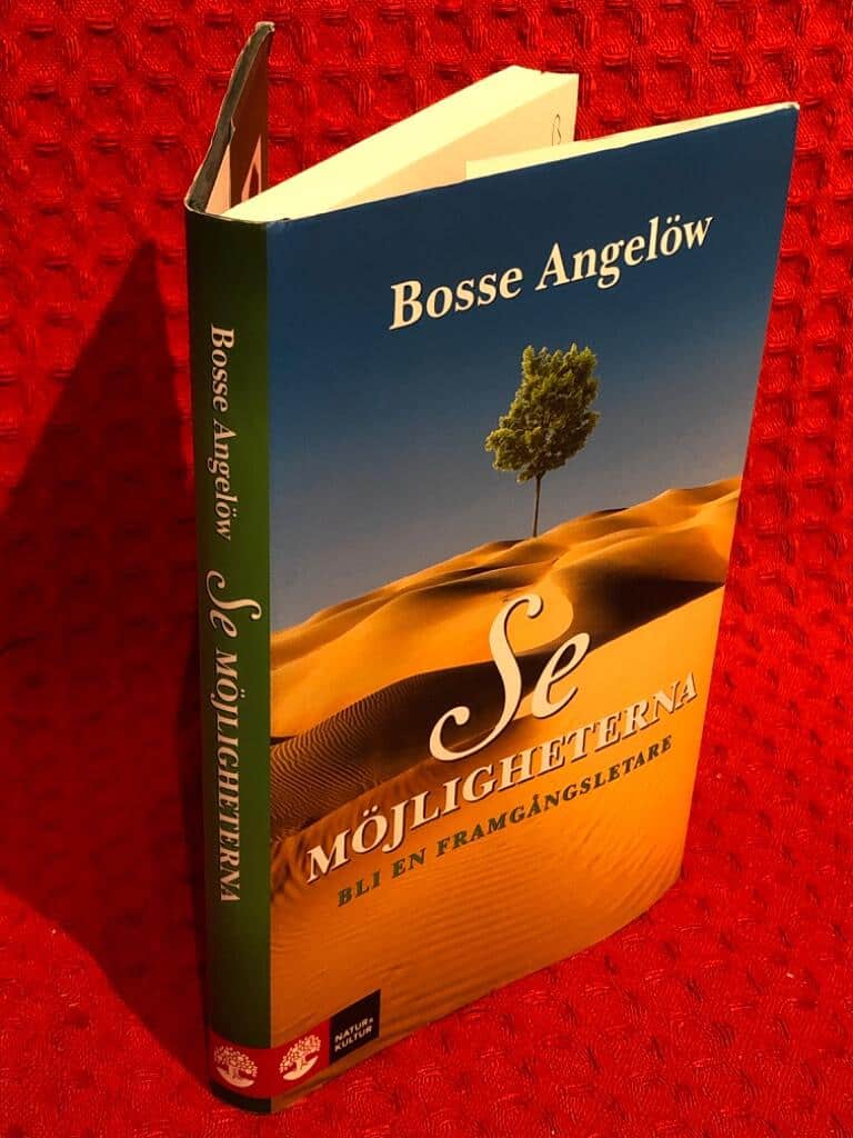 Bosse Angelöw : Se möjligheterna