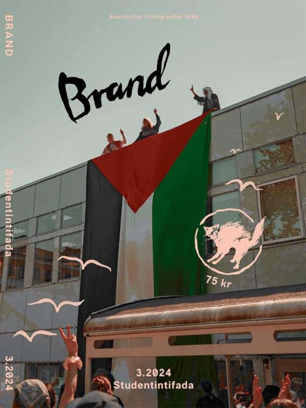 Brand : 2024 / 3