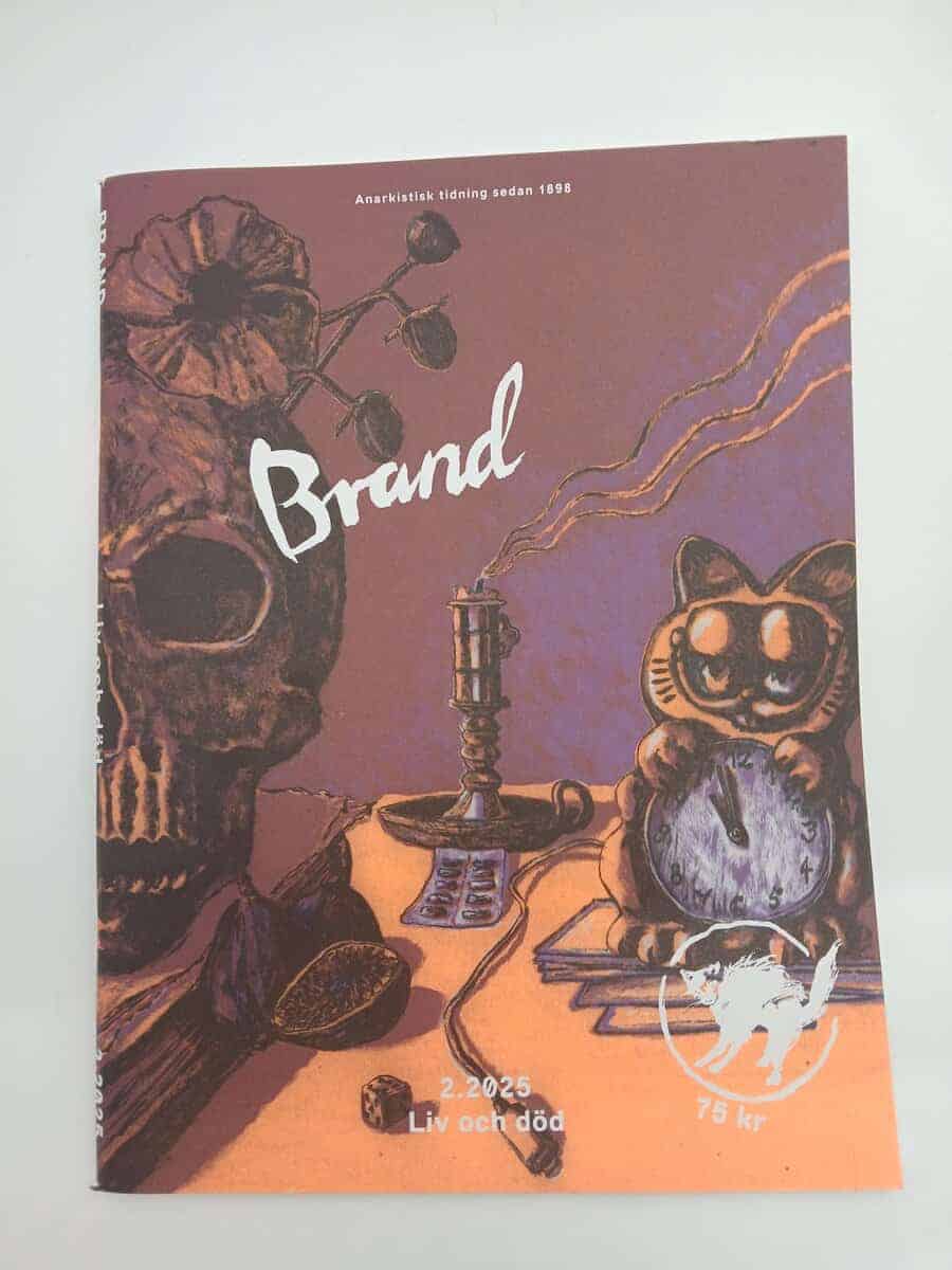 Brand : 2025/2