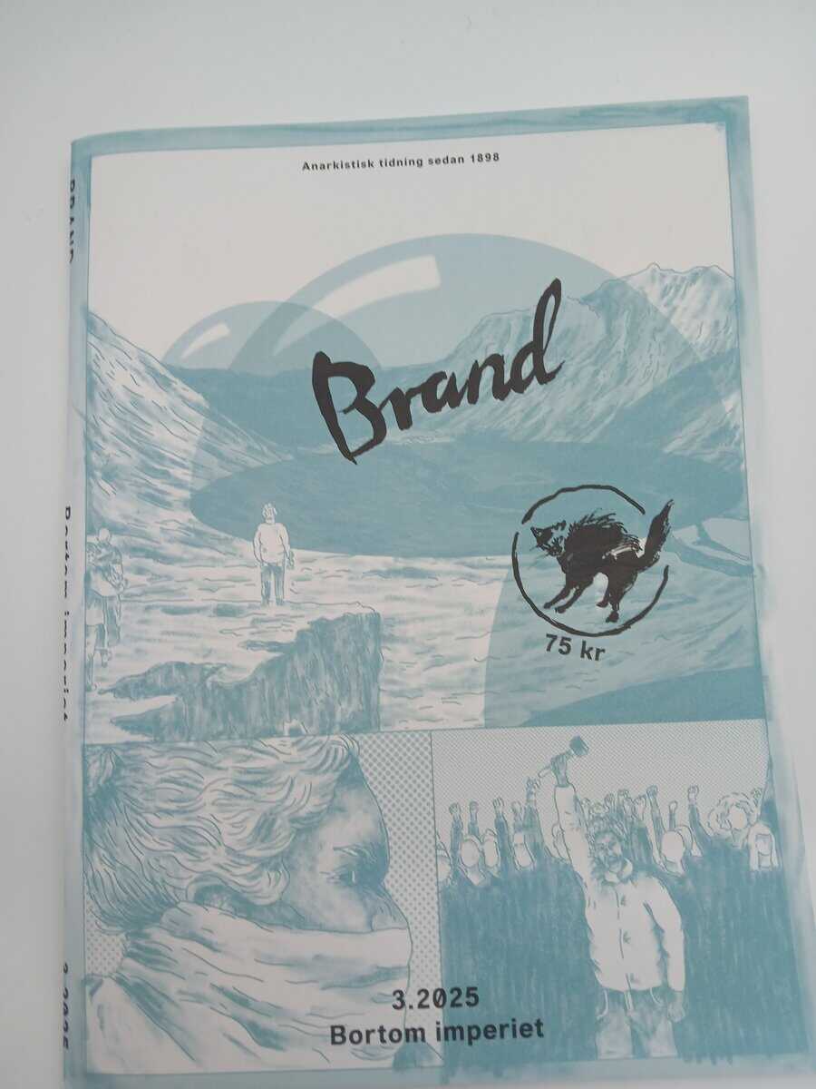 Brand : 2025/3