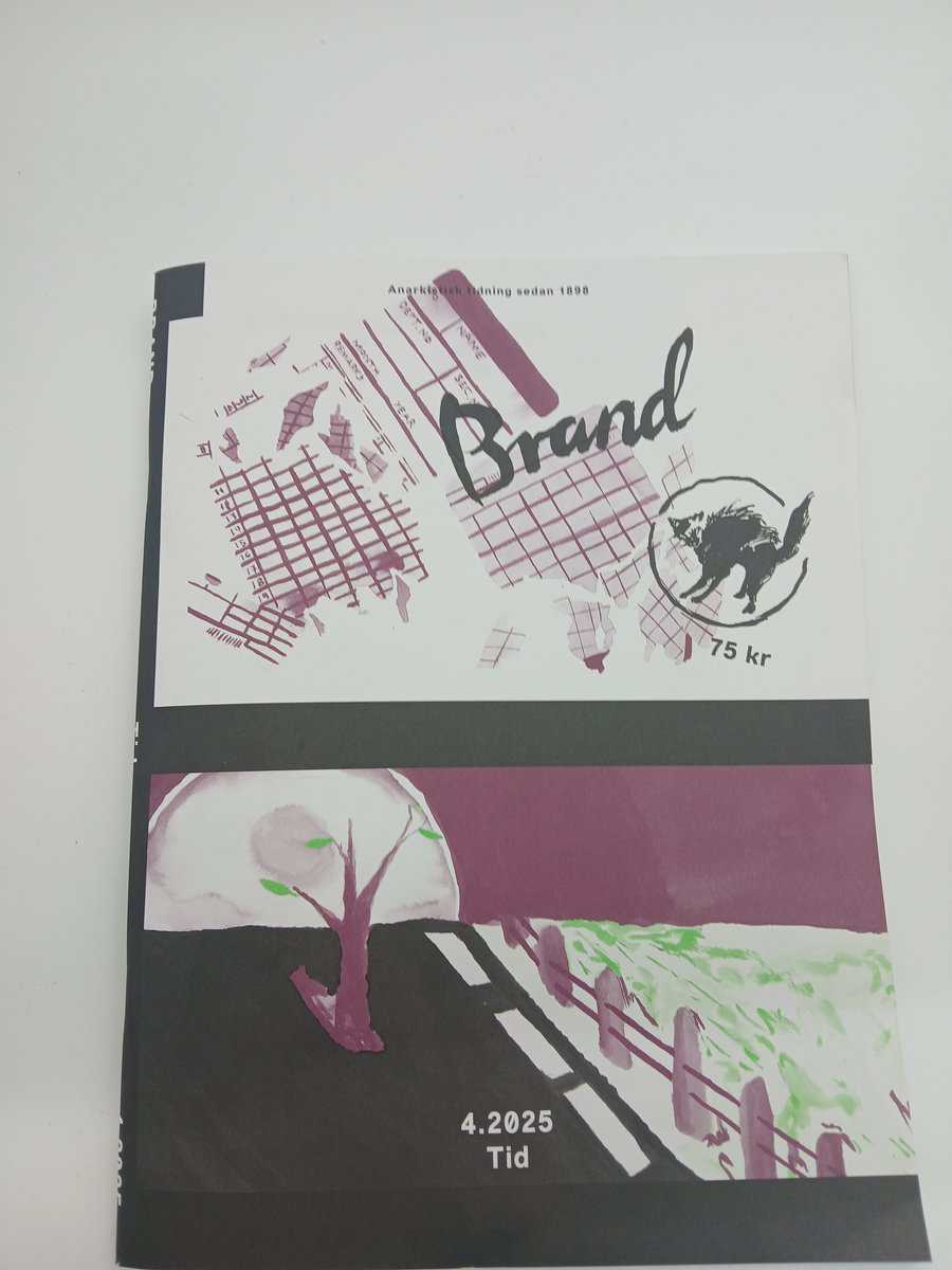 Brand : 2025/4