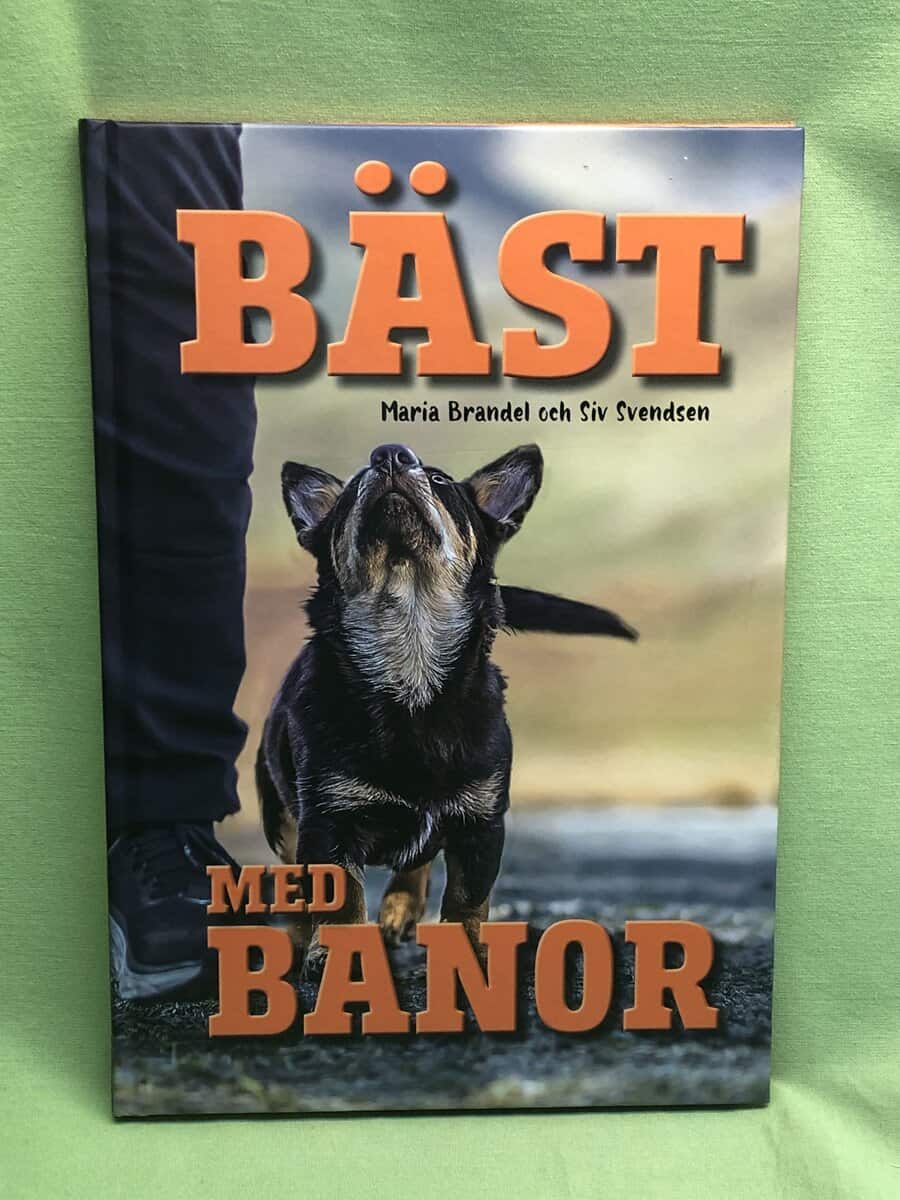 Brandel, Maria, Svendsen, Siv : Bäst med banor