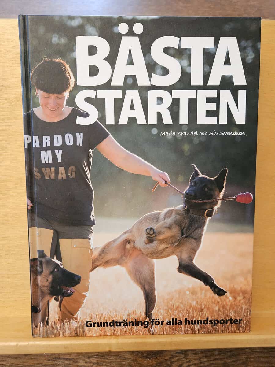 Brandel, Maria, Svendsen, Siv : Bästa starten