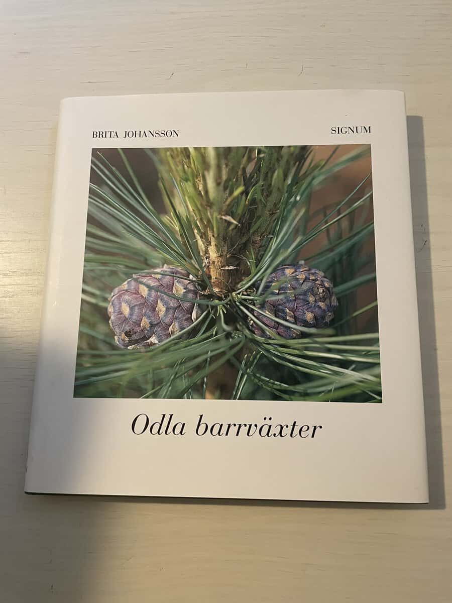 Brita Johansson : Odla barrväxter