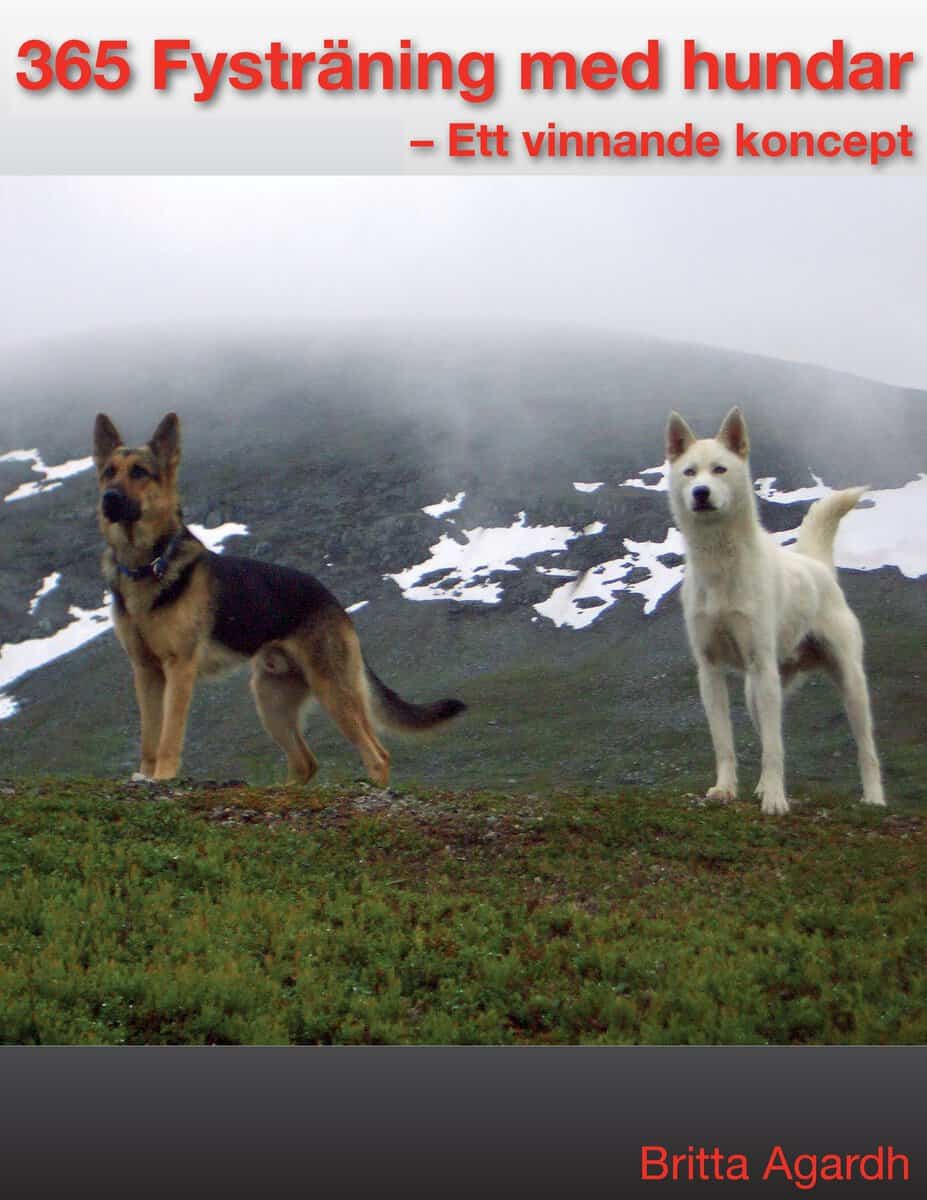 Britta Agardh : 365 fysträning för hund