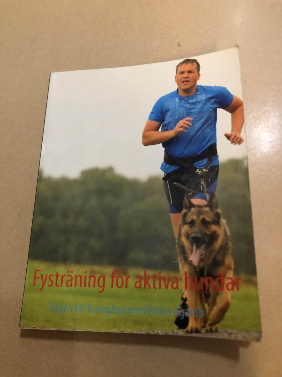 Britta Agardh : Fysträning för aktiva hundar