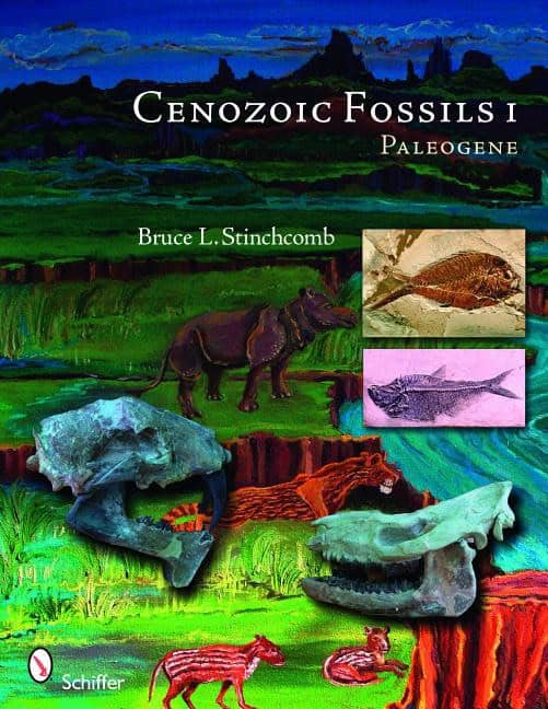 Bruce L. Stinchcomb : Cenozoic Fossils 1