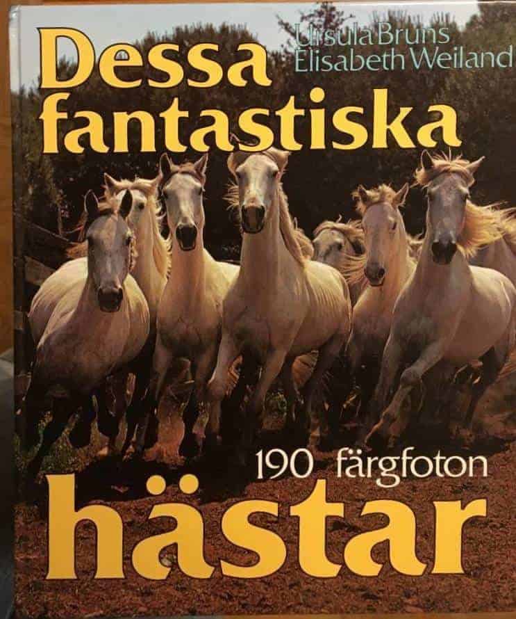 Bruns, Ursula ; Weiland, Elisabeth ; Norberg, Elsa Lill : Dessa fantastiska hästar