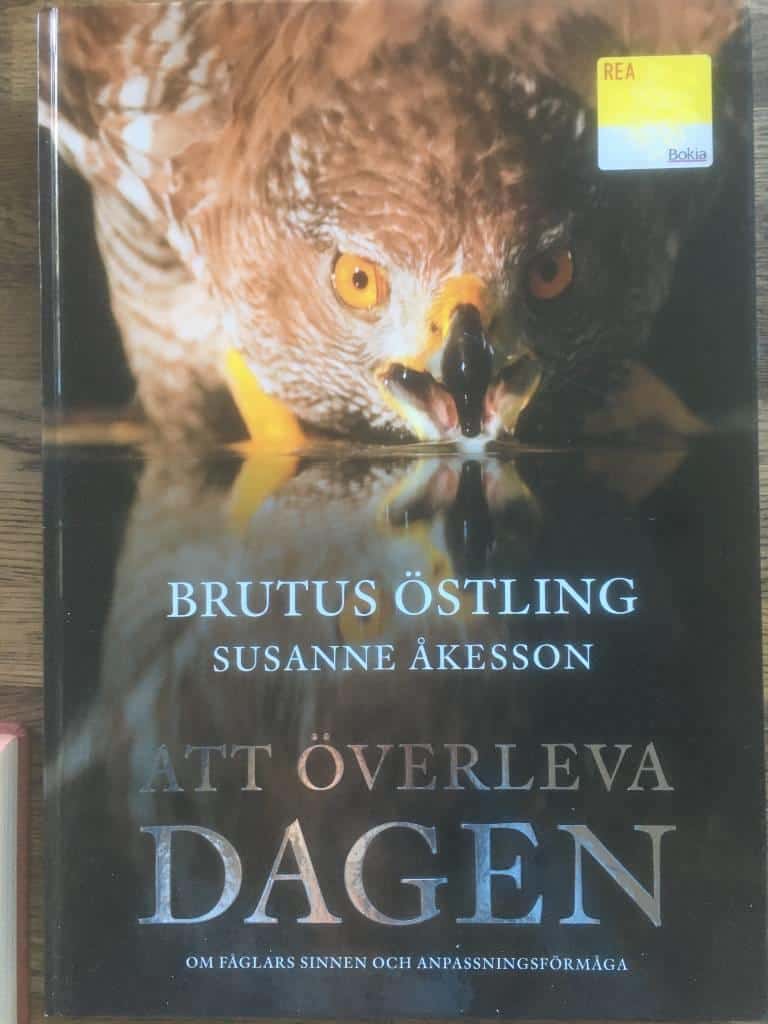 Brutus Östling ; Susanne Åkesson : Att överleva dagen