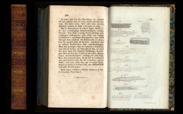 C. A. Agardh : Lärobok i botanik