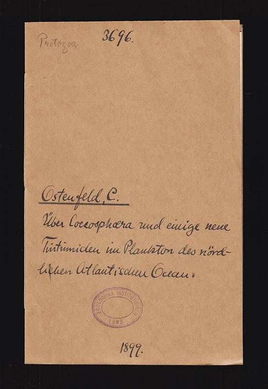 C. Ostenfeld : Über Coccosphaera und einige neue Tintinniden im Plankton des nördlichen Atlantischen Oceans. (Mit 2 Figuren)
