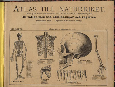 C. R Sundström : Atlas till naturriket