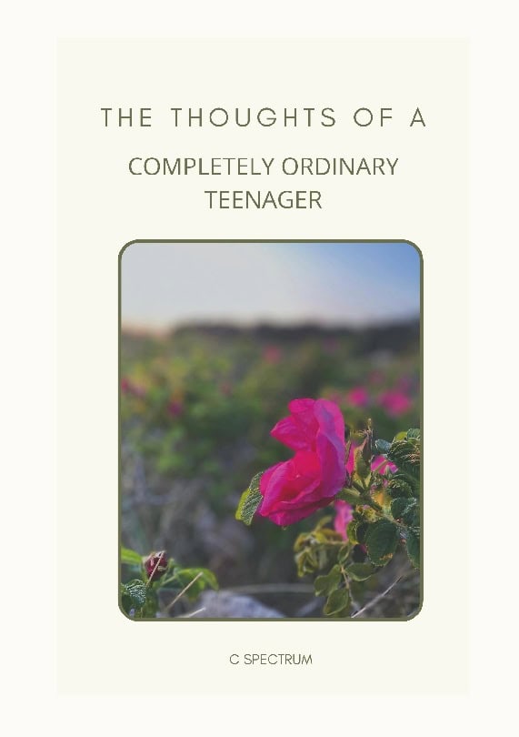 C Spectrum : The thoughts of a completely ordinary teenager