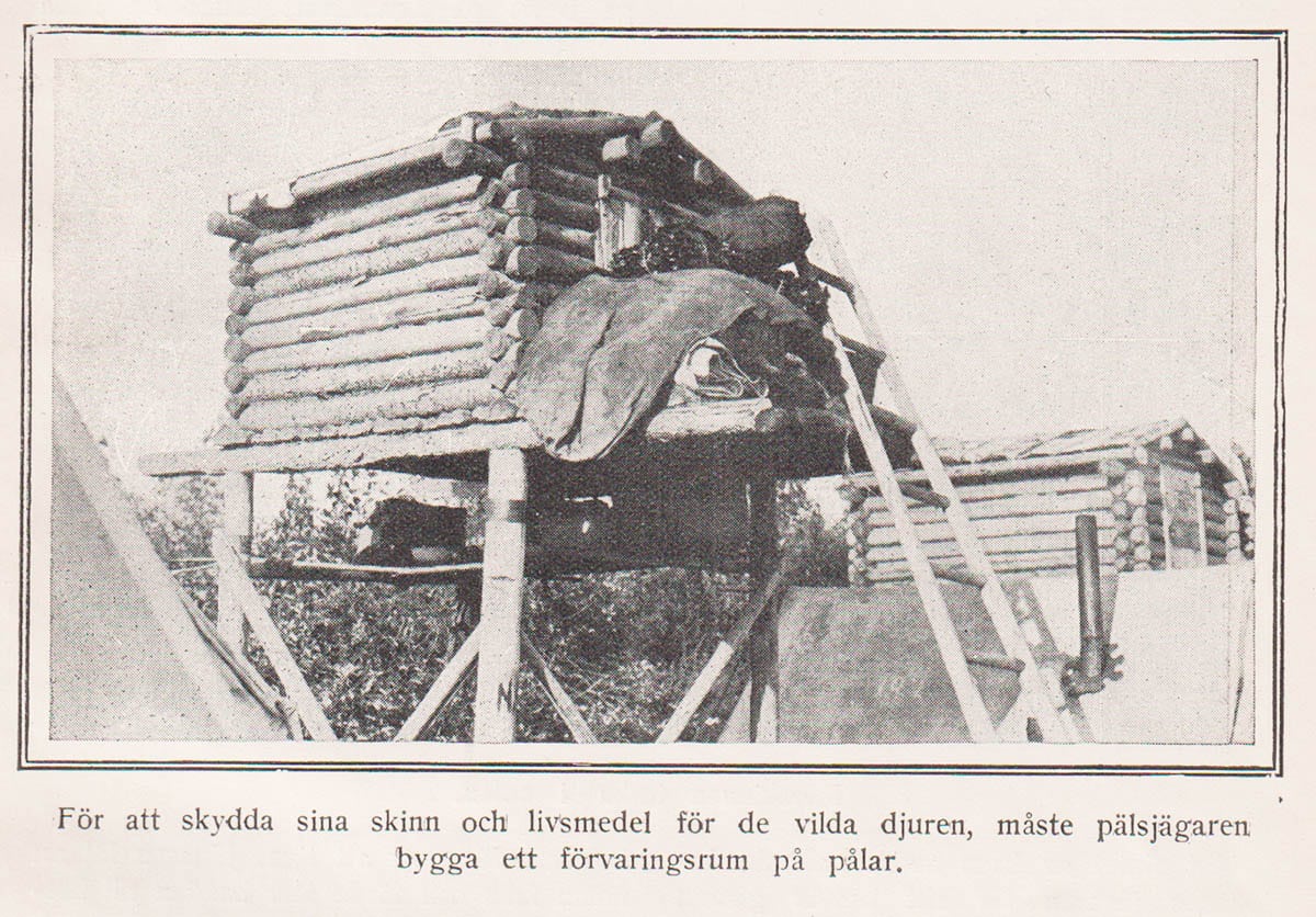 C. V. Trench : Pälsjägare