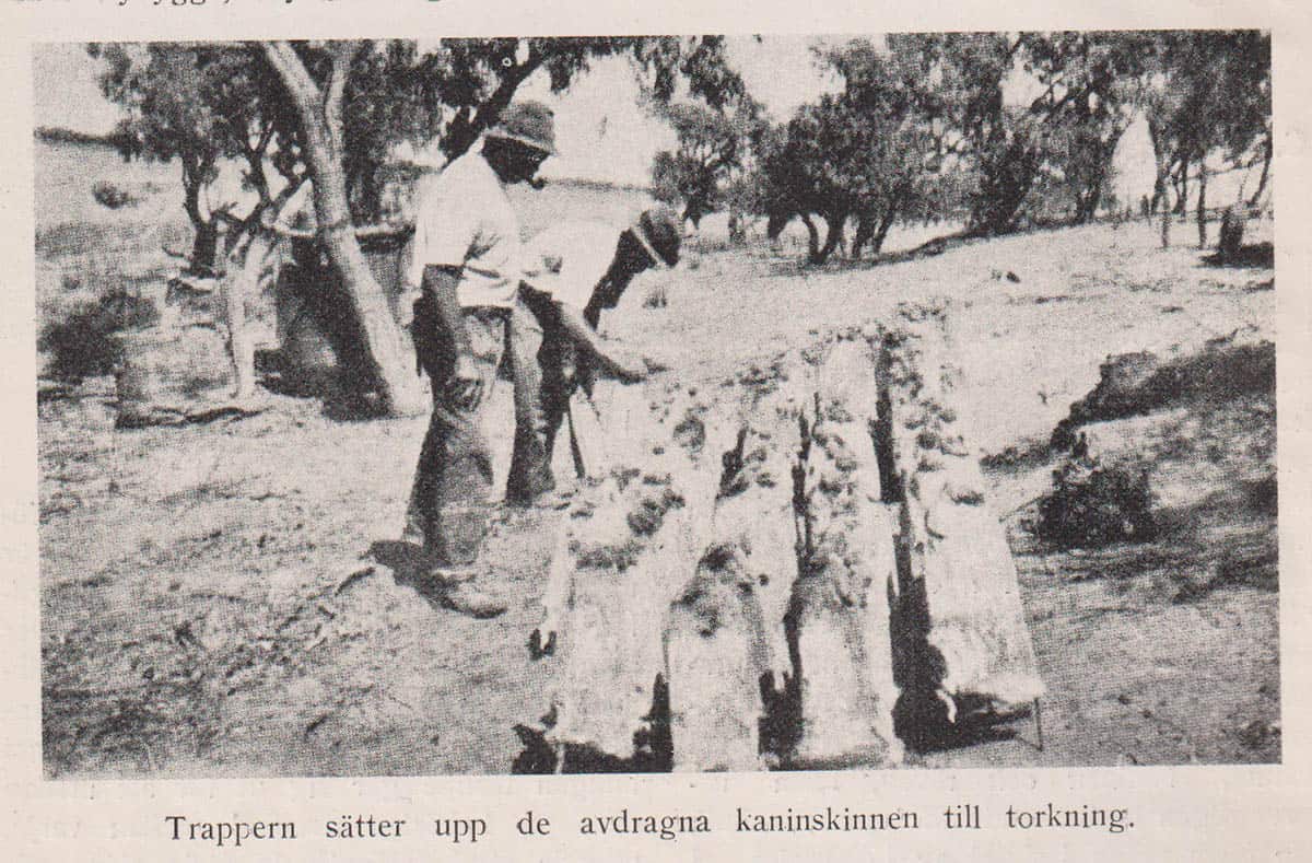 C. V. Trench : Pälsjägare