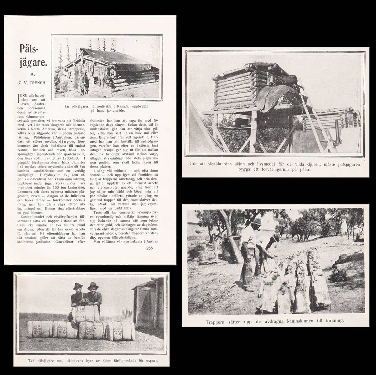C. V. Trench : Pälsjägare