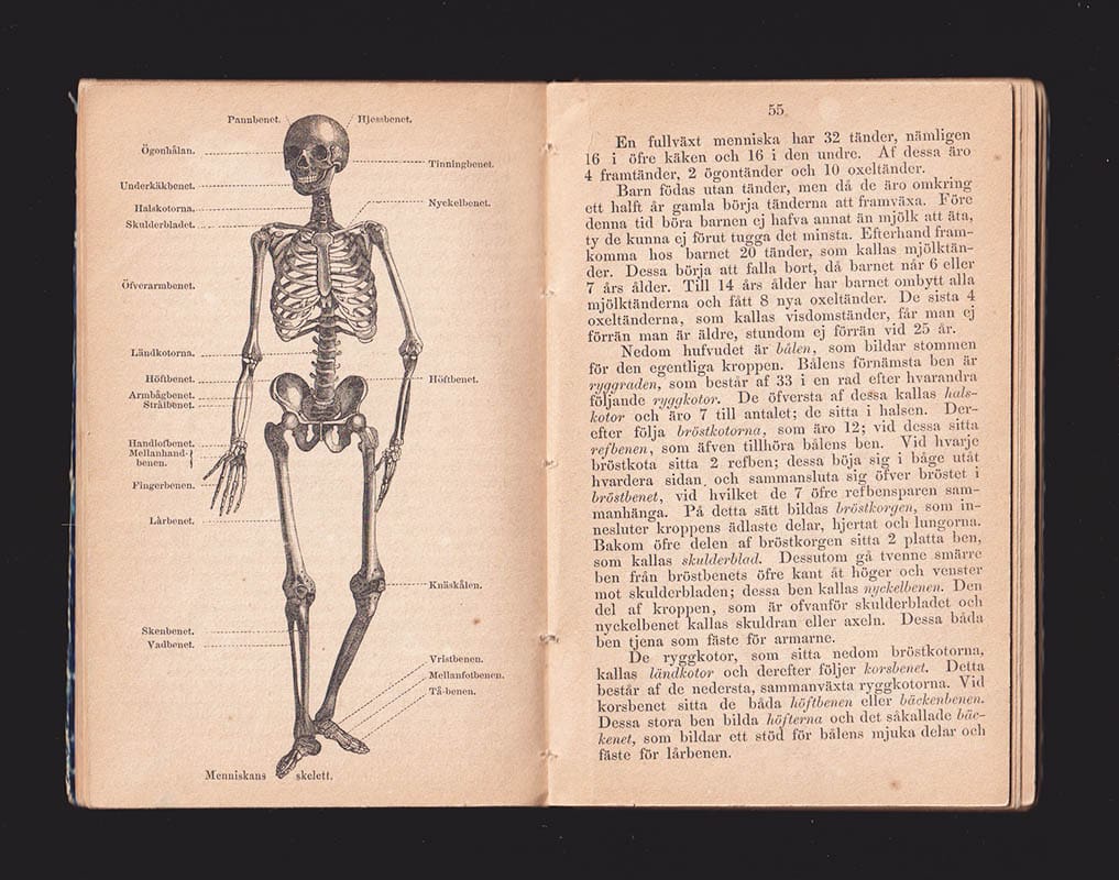C. W. Paijkull : Lärobok i naturläran för folkskolan och hemmet af C. W. Paykull