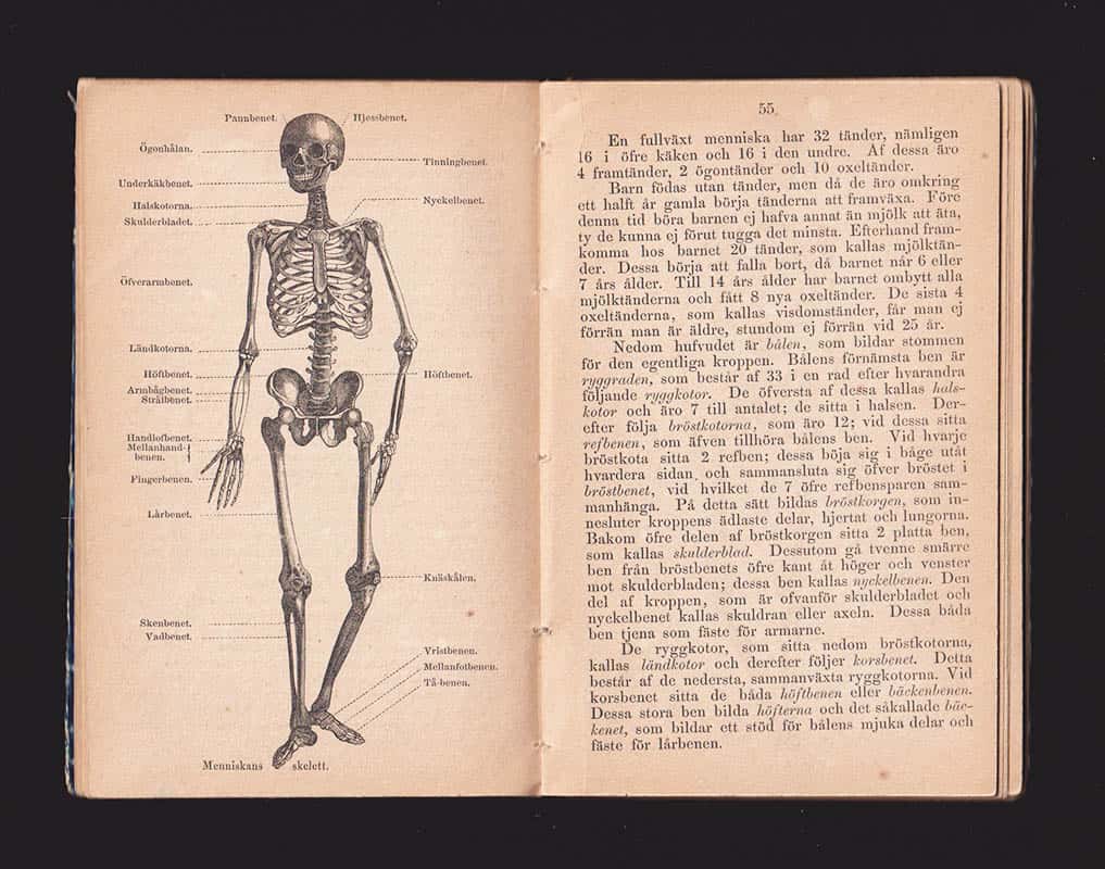 C. W. Paijkull : Lärobok i naturläran för folkskolan och hemmet af C. W. Paykull