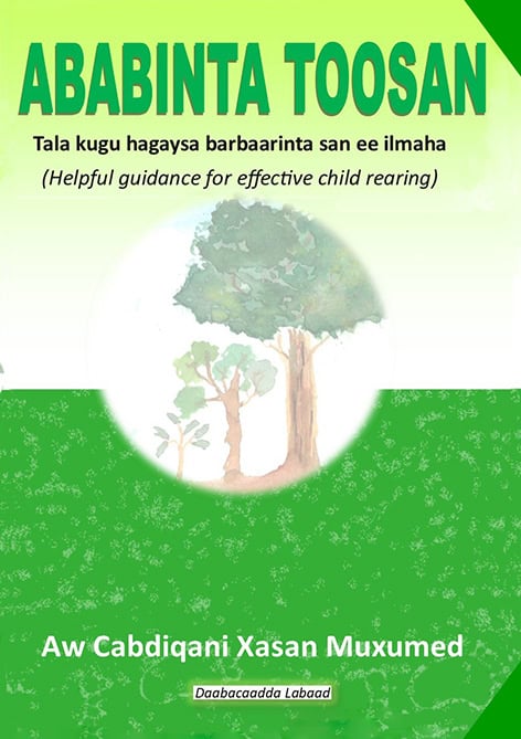 Cabdiqani Xasan Muxumed : Ababinta toosa