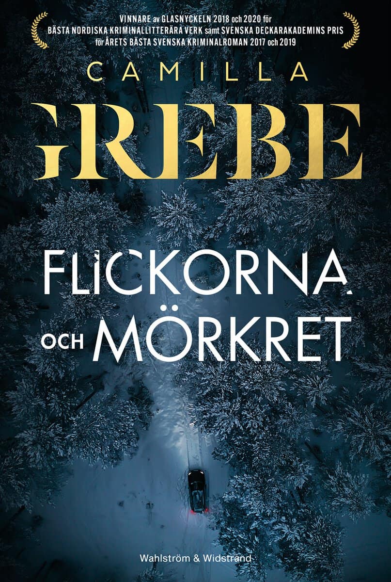 Camilla Grebe : Flickorna och Mörkret