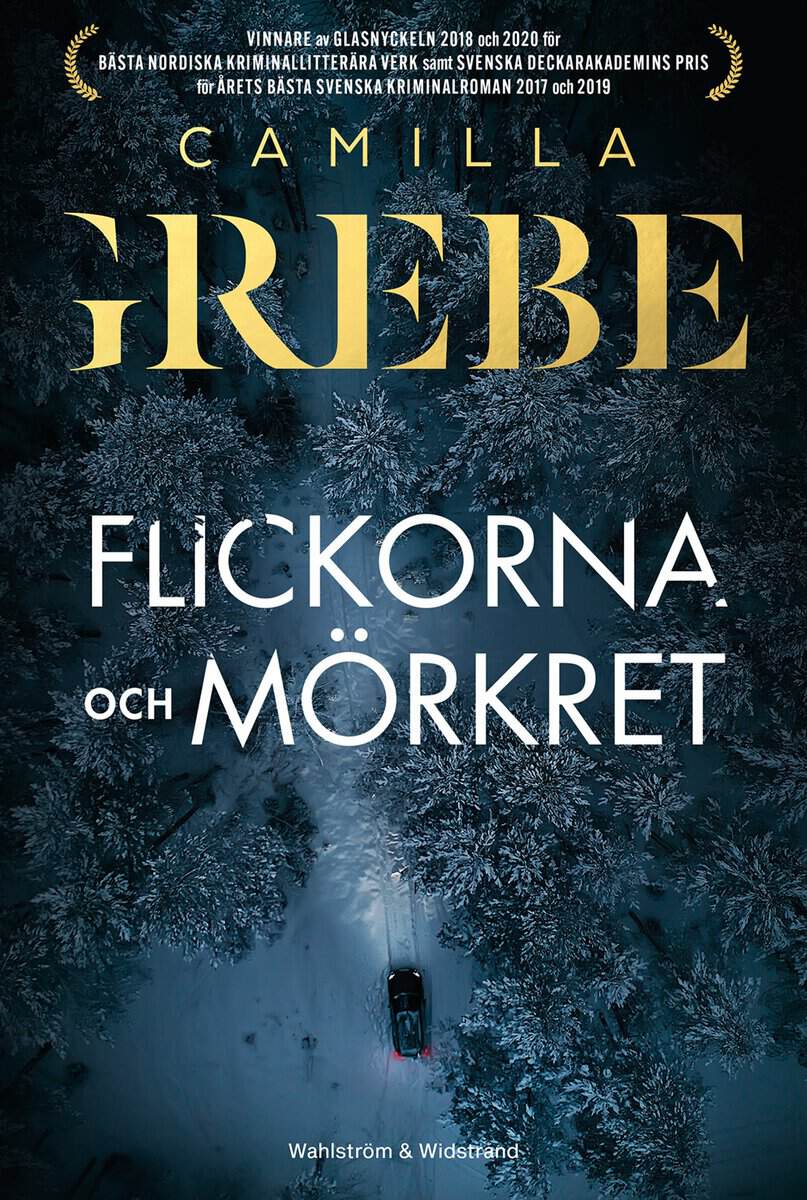 Camilla Grebe : Flickorna och Mörkret